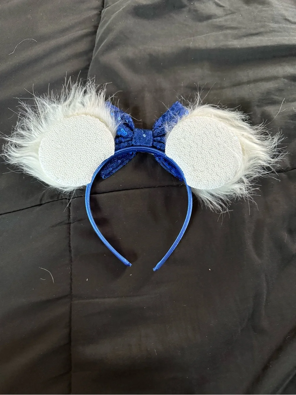 Donald Mickey Ears